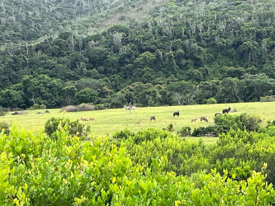 3 Bedroom Property for Sale in Bathurst Eastern Cape